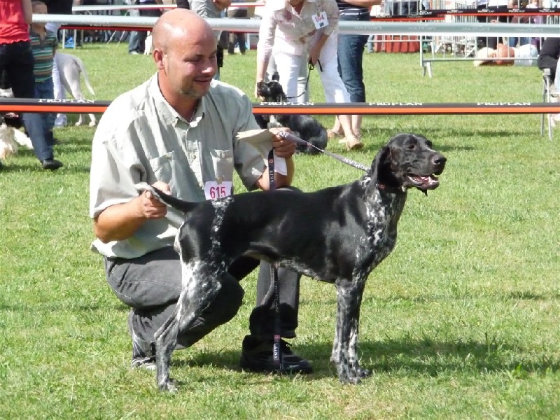 Photos Romorantin 2011
